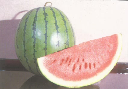 西瓜(英文:watermelon)