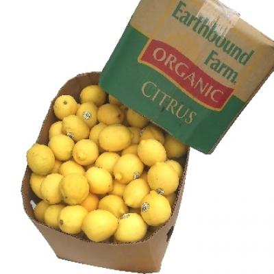 美國進口有機黃檸檬30斤